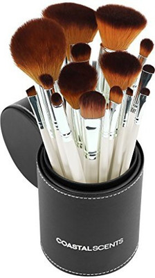 

Coastal Scents Pearl Brush Set(Pack of 16)
