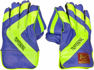 

Anand Sports Cricket - Professional Wicket Keeping Gloves (, Multicolor