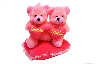 

toyjoy oft Toy Cute "Couple "Teddy Bear on Heart Pillow Someone Special Lovely Colour for Birthday Gift/Valentine Day Gift/for Kids Birthday/ (22cm) (Pink) - 22 cm(Pink)