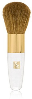 

Fake Bake Bronzing Brush 0 13 Ounce(Pack of 1)