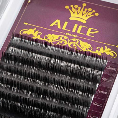 

Alice Eyelash Extensions Individual Eyelashes Mixed Tray Black Volume Mink False Lashes D Curl 0 12Mm Thickness 8 15Mm For Salon Perfect Use(Pack of 1)