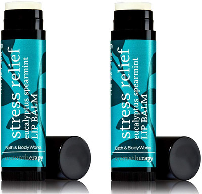 

Bath & Body Works Eucalyptus Spearmint Lip Balm - Aromatherapy Stress Relief Lip Treatment Stick - Pack of 2 Spearmint(Pack of: 2, 27 g)
