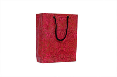 

JIB GLOBAL Printed Party Bag(Maroon, Pack of 10)