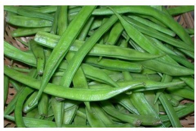 sporos CLUSTER BEANS Seed(25 per packet)