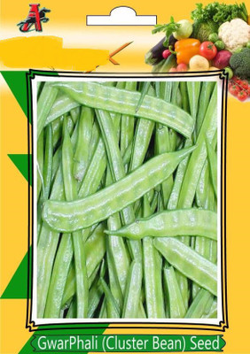 Paudha CLUSTER BEANS Seed(50 per packet)