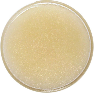

ADVAIT ABEER NATURAL LIP SCRUB (40 g) VANILLA SPICE Scrub(40 g)