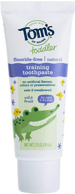 

Tom's Of Maine Toddlers Fluoride-Free Natural Toothpaste in Gel, Mild Fruit, 1.75 Ounce, 3 Count Toothpaste(49 g)