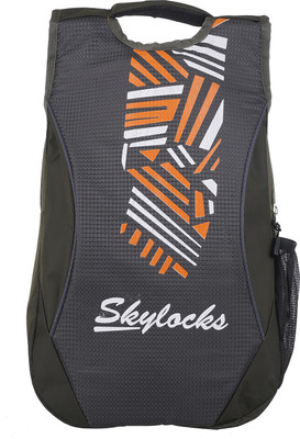 

Skylocks American Billion Paull London Laptop Office Backpck 20 L Backpack(Multicolor)
