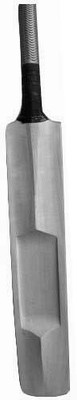

W SIGNATURE disgne020 Kashmir Willow Cricket Bat(, 900