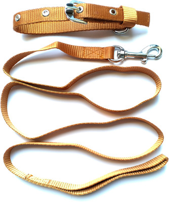 

prince products 013 Dog Collar & Leash(, Golden
