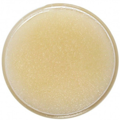 ADVAIT ABEER ORGANIC BODY SCRUB (200 g) LEMON LAVENDER Scrub(200 g)