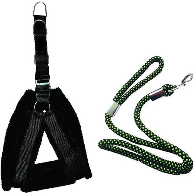 

PET HUB Dog Collar & Leash(, BLACK 1.25 INCH NYLON WITH PADDED