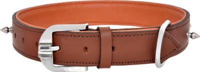 

Pride Infinite Dog Everyday Collar(, Brown