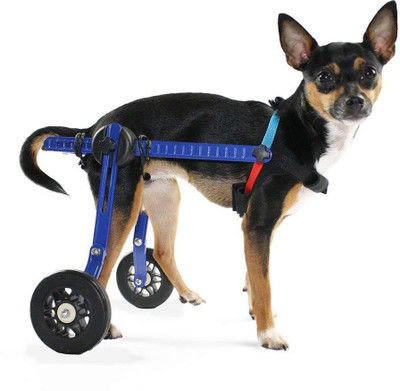 

GTS GTSW106 Pet Wheelchair