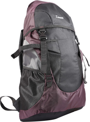 

Zwart 414107 40 L Free Size Backpack(Black, Purple)
