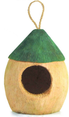 

ZENRISE carved Coconut green hut Bird House(Hanging, Free Standing, Wall Mounting, Tree Mounting)