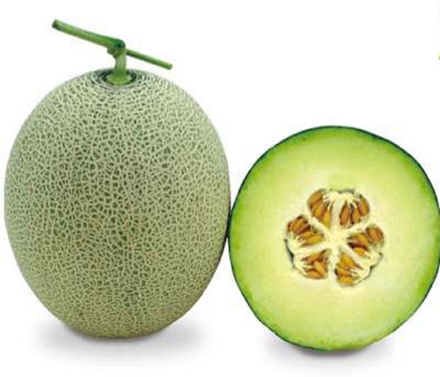 syed garden GREEN MUSKMELON Seed(1 per packet)