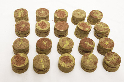 bio blooms Coir Coins Netted for Seedling Production, Hydroponics, Pro Tray Systems(18B)-Pack of 60 Manure(52 g, Cake)