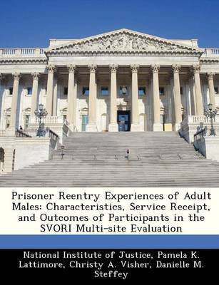 Prisoner Reentry Experiences of Adult Males(English, Paperback, Lattimore Pamela K)