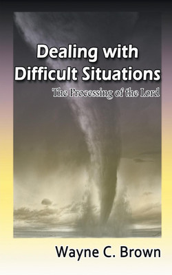 Dealing with Difficult Situations(English, Paperback, Brown Wayne)