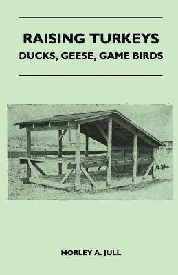 Raising Turkeys - Ducks, Geese, Game Birds(English, Paperback, Jull Morley A.)