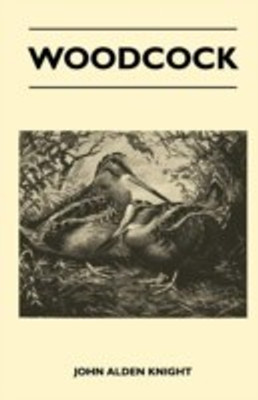 Woodcock(English, Paperback, Knight John Alden)