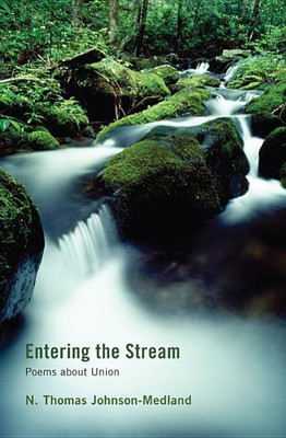 Entering the Stream(English, Hardcover, Johnson-Medland N Thomas)