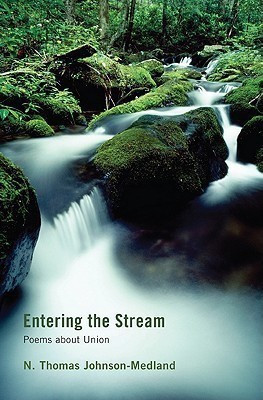 Entering the Stream(English, Paperback, Johnson-Medland N Thomas)