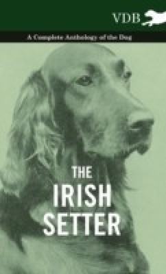 The Irish Setter - A Complete Anthology of the Dog(English, Hardcover, Various)