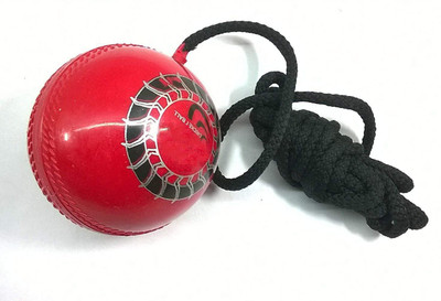 Red Lion Knocking Cricket Training Ball(Pack of 1, Red, Black)
