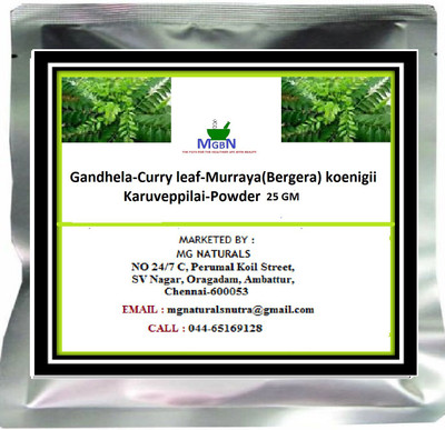 

MGBN Gandhela-Curry leaf-Murraya(Bergera) koenigii-Karuveppilai-Powder 25 GM(25 g)
