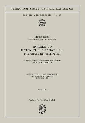Examples to Extremum and Variational Principles in Mechanics(English, Paperback, Lippmann Horst)