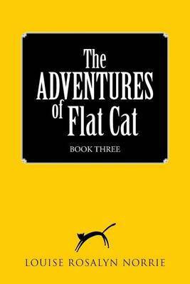 The ADVENTURES of Flat Cat(English, Paperback, Louise Rosalyn Norrie)