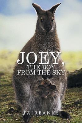 Joey, the Boy from the Sky(English, Paperback, Fairbanks)
