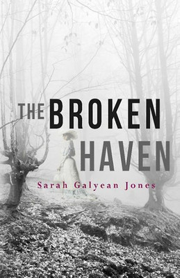 The Broken Haven(English, Paperback, Jones Sarah Galyean)