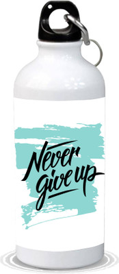 

SALTINE Never Give Up Stainless Steel Sipper 600 ml Sipper(Pack of 1, Multicolor)