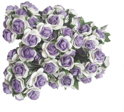 

Oasis Micro Mini Roses