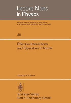 Effective Interactions and Operators in Nuclei(English, Paperback, unknown)