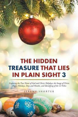 The Hidden Treasure That Lies in Plain Sight 3(English, Paperback, Shorter Jeremy)