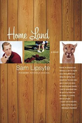 Home Land(English, Paperback, Lipsyte Sam)