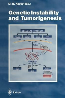 Genetic Instability and Tumorigenesis(English, Paperback, unknown)