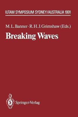 Breaking Waves(English, Paperback, unknown)
