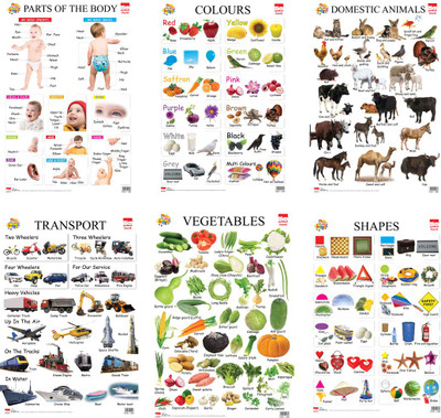 

Pinkbud Kids First Learning Educational Charts(Set of 6)(Multicolor)