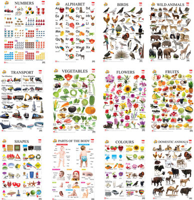 

Pinkbud Kids First Learning Educational Charts(Set of 12)(Multicolor)