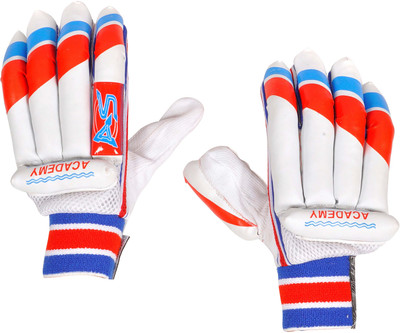 

Anand Sports Cricket- Academy Batting Gloves (, White