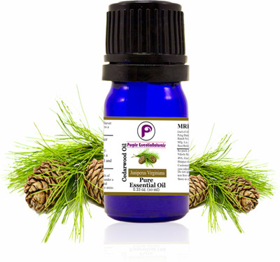 

Purple EssentioNaturals eoc001(10 ml)