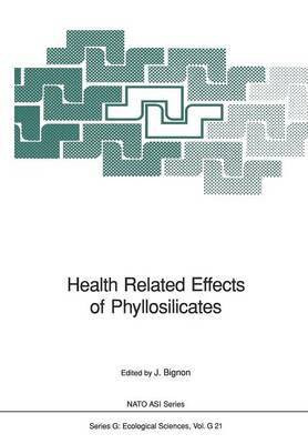 Health Related Effects of Phyllosilicates(English, Paperback, unknown)