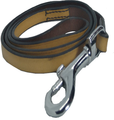 

Fantastic Dog Dog Collar & Leash(, Yellow