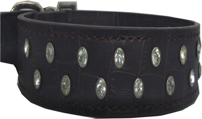 

Fantastic Dog Dog Everyday Collar(, Black