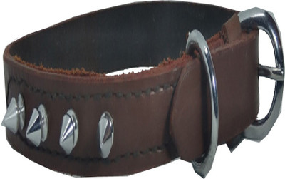 

Fantastic Dog Dog Everyday Collar(, Brown